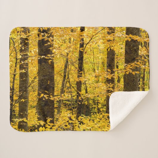 Fall Pisgah National Forest シェルパブランケット (正面(横))