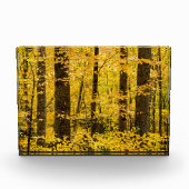 Fall Pisgah National Forest フォトブロック (正面)