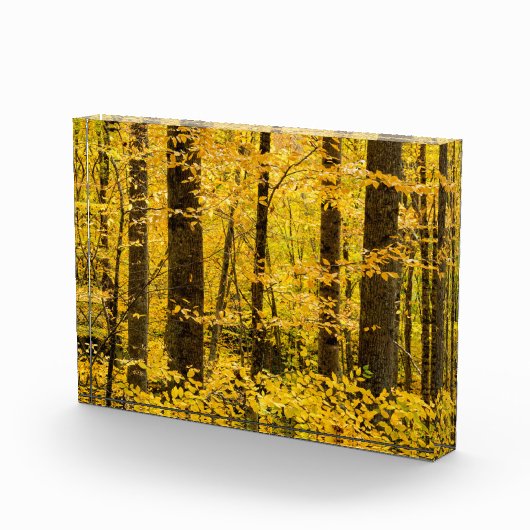 Fall Pisgah National Forest フォトブロック (右)