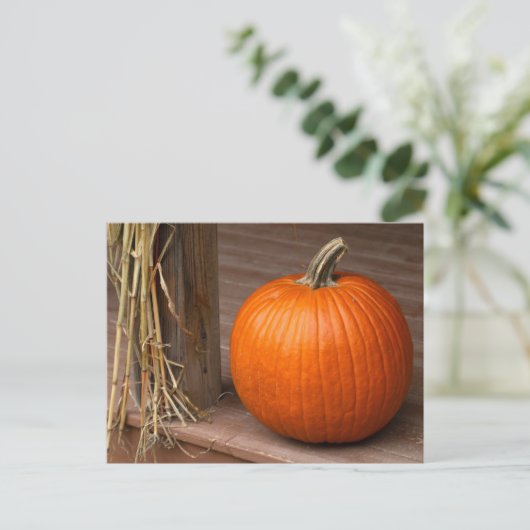 Fall Pumpkin on Porch ポストカード (スタンド正面)