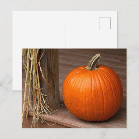 Fall Pumpkin on Porch ポストカード (正面/裏面)