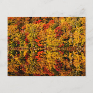 Fall Reflection on Russell Pond   New Hampshire ポストカード