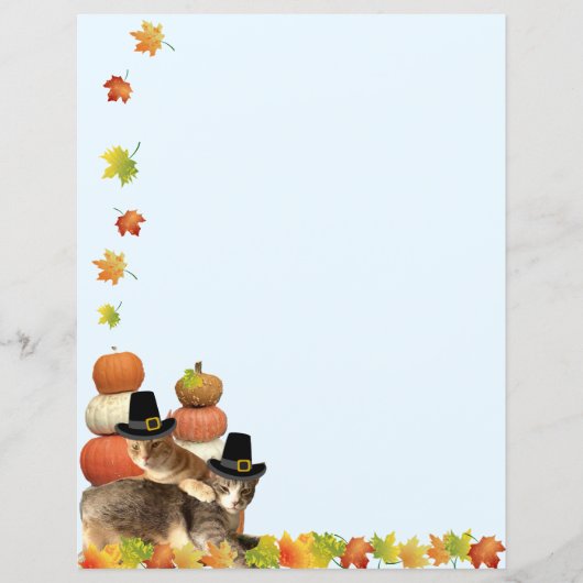 Fall / Thanksgiving Cat Stationary (正面)