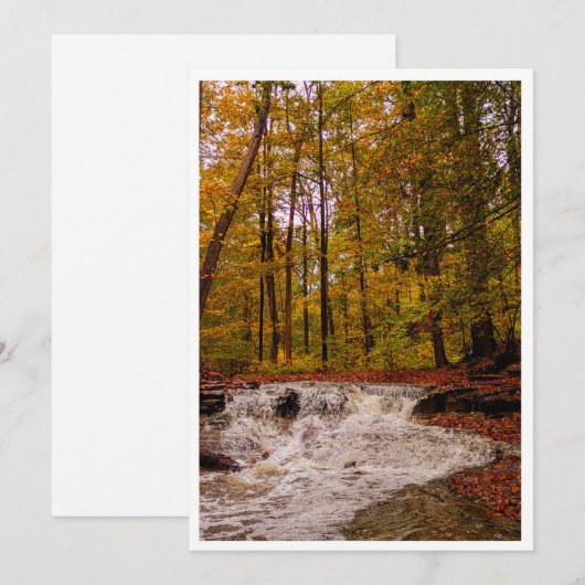 Fall Waterfall シーズンカード (正面/裏面)