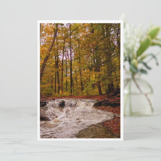 Fall Waterfall シーズンカード (スタンド正面)