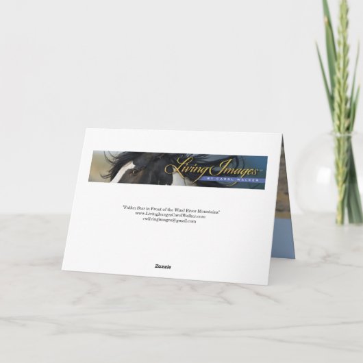 "Fallen Star in Front of the Wind River Mountains" 招待状 (裏面)