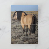 "Fallen Star in Front of the Wind River Mountains" 招待状 (内部)