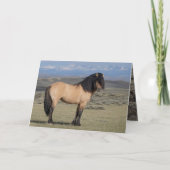 "Fallen Star in Front of the Wind River Mountains" 招待状 (正面)