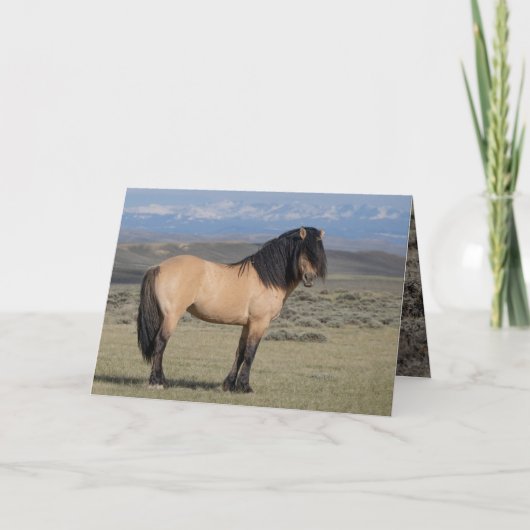 "Fallen Star in Front of the Wind River Mountains" 招待状 (正面)