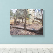 Fallen Trees キャンバスプリント (インサイチュ (ウッドフロア))