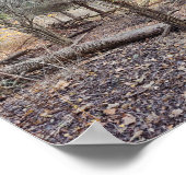 Fallen Trees ポスター (角)