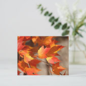 Falling Redsはがき ポストカード (スタンド正面)