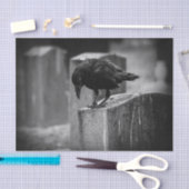 Fallnの墓地のカラス 薄葉紙 (クラフト)