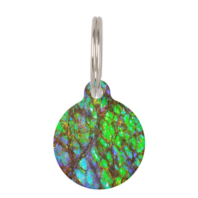 Fallnの孔雀Ammolite ペット　ネームタグ (正面)