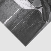 Fallnは羽を見つけました 薄葉紙 (詳細)