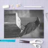 Fallnは羽を見つけました 薄葉紙 (クラフト)