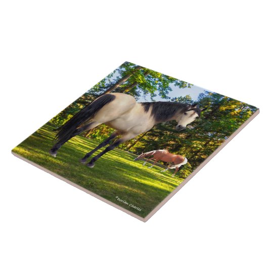 "Fallon"  タイル (側面)