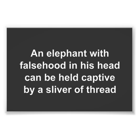 Falsehood inhibits strength of Black America フォトプリント (正面)