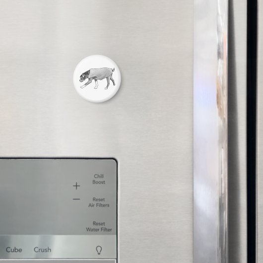 Familiar Paths Remembered マグネット (インサイチュ (冷蔵庫))