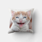 Family Cat写真2 クッション (裏面)