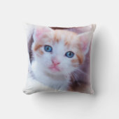 Family Cat写真2 クッション (正面)