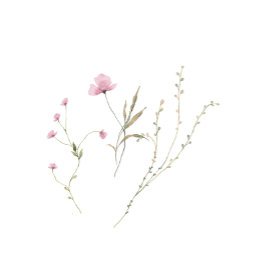 Family Coffee Mug ツートーンマグカップ