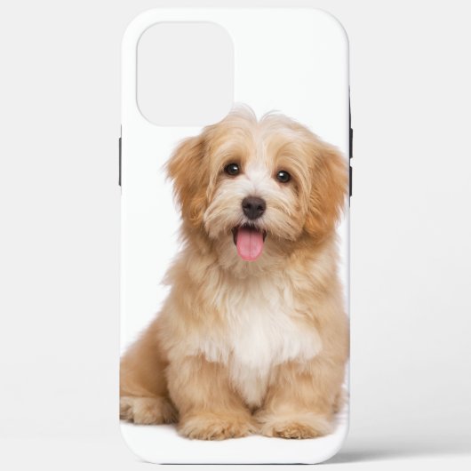Family Dog Your Pet Photo Case-Mate iPhoneケース (裏面)