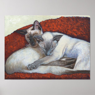 "Family Nap" Simaese Cat Art poster ポスター