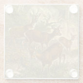 Family of Roe - Deers in a Forest ガラスコースター (裏面)