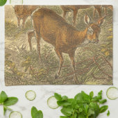 Family of Roe - Deers in a Forest キッチンタオル (折り畳み)