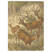 Family of Roe - Deers in a Forest クリップボード (裏面)