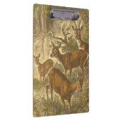 Family of Roe - Deers in a Forest クリップボード (右)