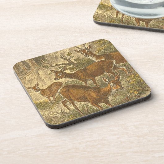 Family of Roe - Deers in a Forest コースター (左側)