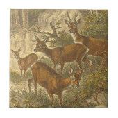 Family of Roe - Deers in a Forest タイル (正面)