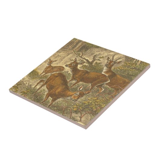 Family of Roe - Deers in a Forest タイル (側面)