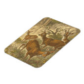 Family of Roe - Deers in a Forest マグネット (左側)