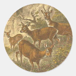 Family of Roe - Deers in a Forest ラウンドシール