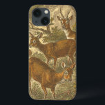 Family of Roe - Deers in a Forest iPhone 13ケース<br><div class="desc">アーティスト絵画のフリードリッヒ・スペクトは、森の中で4人のローデースを描いている。古いスタイル絵画は、子鹿の家族の美しい中性と本物の色を示している。このカスタマイズ美しお気に入りのい画像を使用してザズル製品。</div>