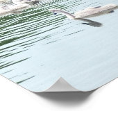 Family Of Swans ポスター (角)