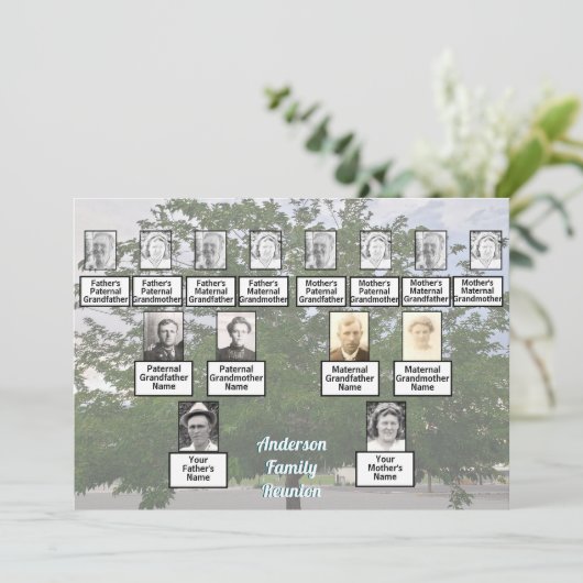 Family Reunion 3 Generation Summertime Tree 招待状 (スタンド正面)