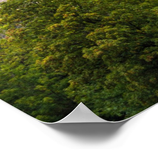 Famous Castles in Europe Countryside Image - 3  ポスター (角)