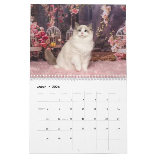 Fancy Rags 12 month Calendar カレンダー (3月 2026)