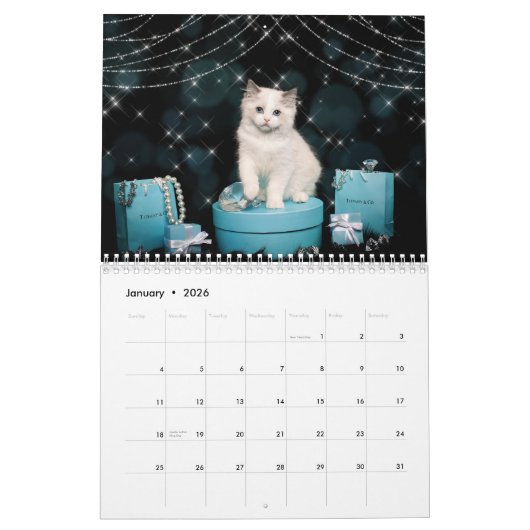 Fancy Rags 12 month Calendar カレンダー (1月 2026)