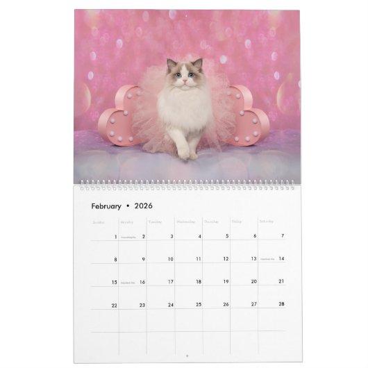 Fancy Rags Ragdoll Cat Calendar カレンダー (2月 2026)