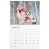 Fancy Rags Ragdoll Cat Calendar カレンダー (1月 2027)