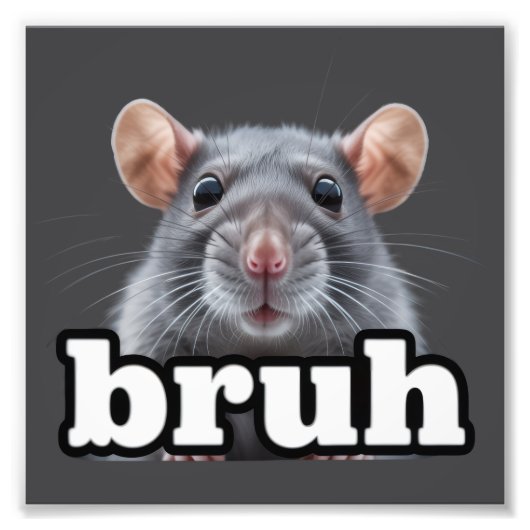 Fancy Rat Rodent Owner Meme Bruh Pet Rat Lover フォトプリント (正面)