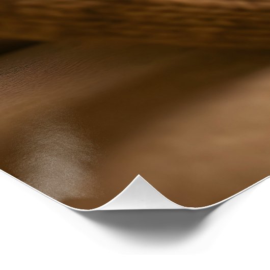 Fantasy Cute Fox And Socks ポスター (コーナー)