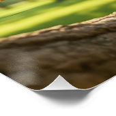 Fantasy Cute Happy Squirrel Forest ポスター (コーナー)