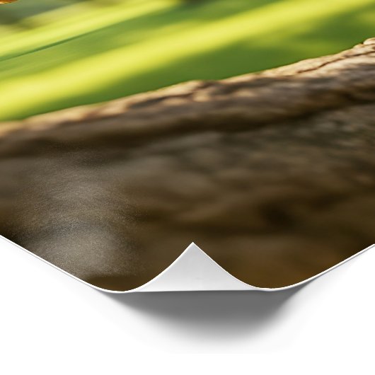 Fantasy Cute Happy Squirrel Forest ポスター (コーナー)