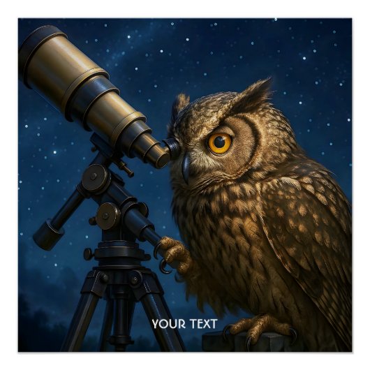 Fantasy Cute Owl Telescope Night ポスター (正面)